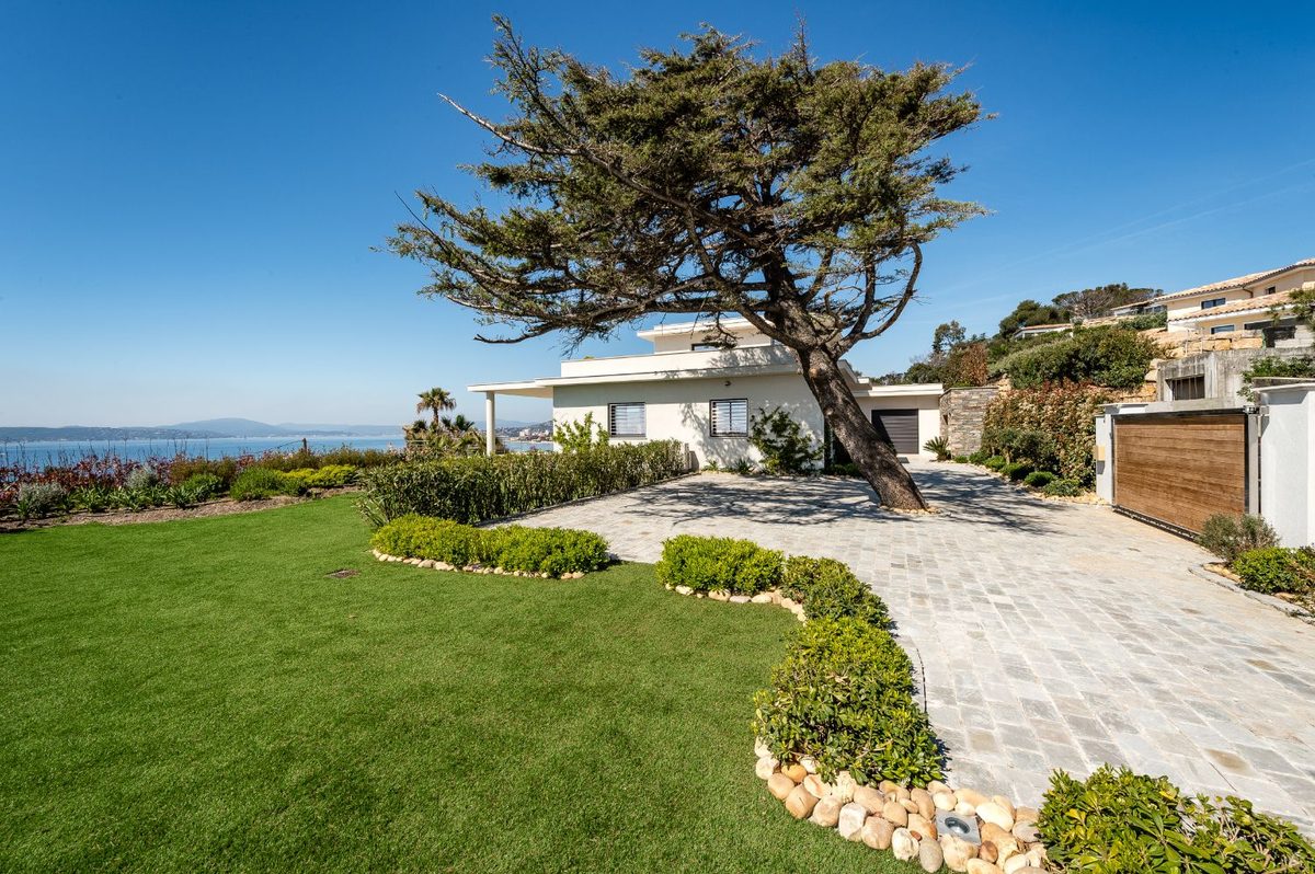 White villa and leaning pine overlooking the Gulf
